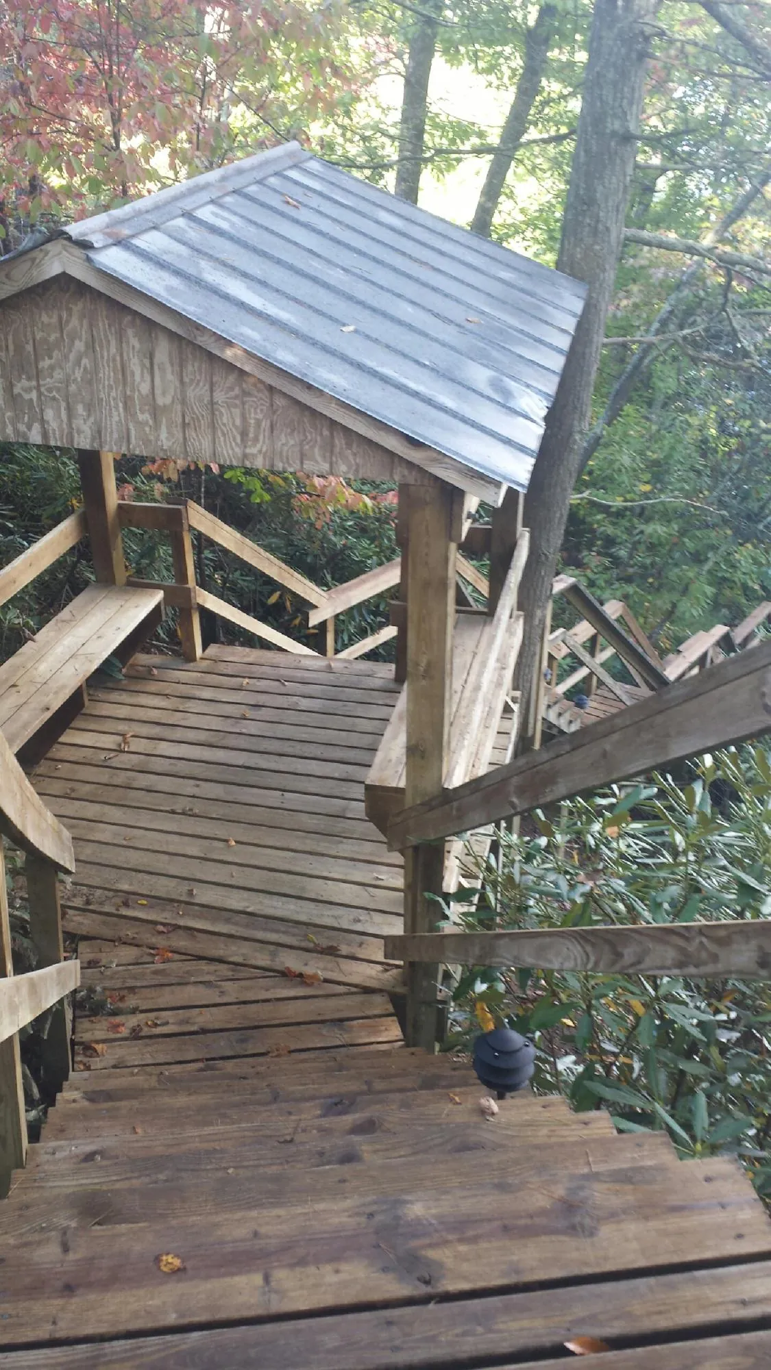 Metal roofed shelter over wooden steps on a wooded walkway — Skylight Repair & Installation work by our crew in Mormon Lake