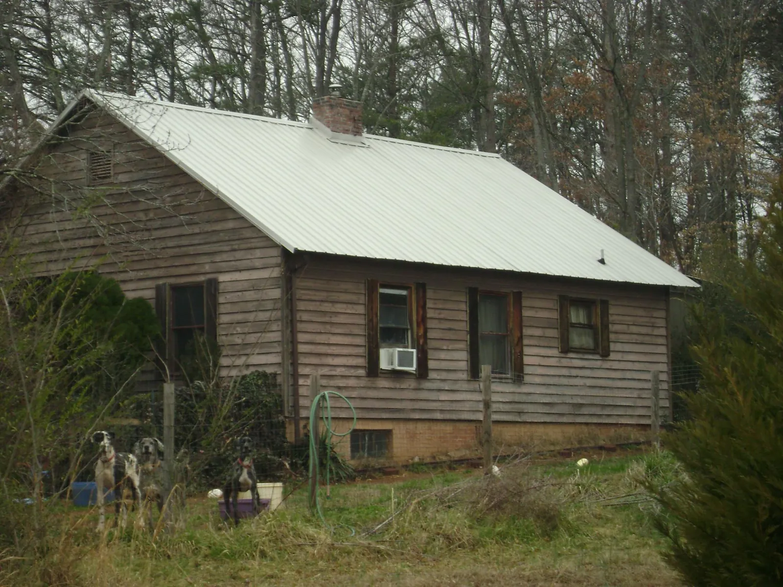 White metal roof on an old wood sided farmhouse, from a Metal Roof Installation job in Mormon Lake